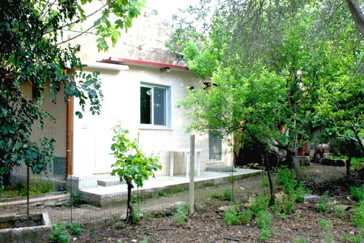 בגרייה Camera Indipendente Con Bagno Immersa Nel Verde מראה חיצוני תמונה